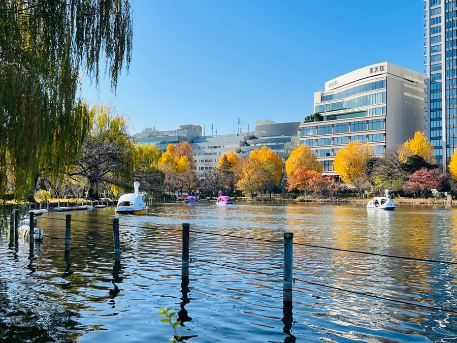 Ueno park
